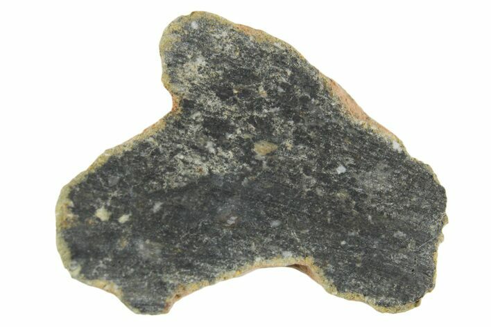 Polished Lunar Meteorite ( g) Section - NWA #360234
